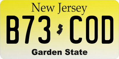 NJ license plate B73COD