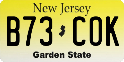NJ license plate B73COK