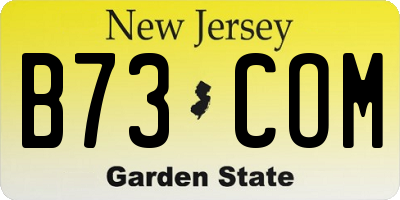 NJ license plate B73COM