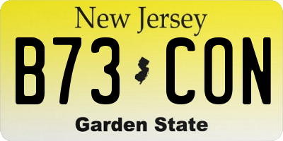 NJ license plate B73CON