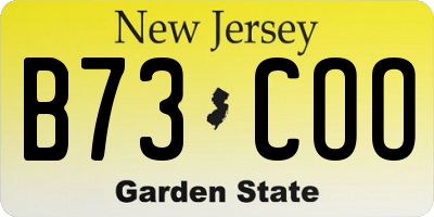 NJ license plate B73COO