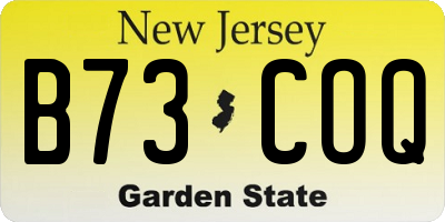 NJ license plate B73COQ
