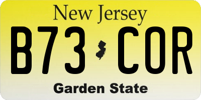 NJ license plate B73COR