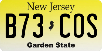 NJ license plate B73COS