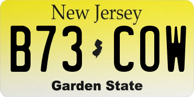 NJ license plate B73COW