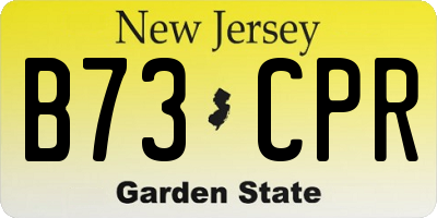 NJ license plate B73CPR