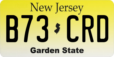 NJ license plate B73CRD
