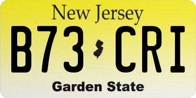 NJ license plate B73CRI