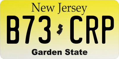 NJ license plate B73CRP