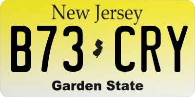 NJ license plate B73CRY
