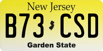 NJ license plate B73CSD