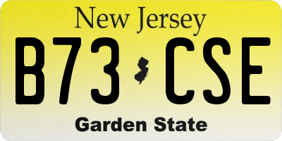 NJ license plate B73CSE