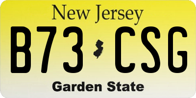 NJ license plate B73CSG