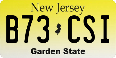 NJ license plate B73CSI