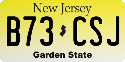 NJ license plate B73CSJ
