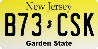 NJ license plate B73CSK