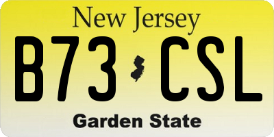 NJ license plate B73CSL
