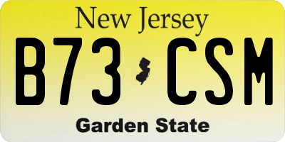 NJ license plate B73CSM