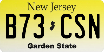 NJ license plate B73CSN