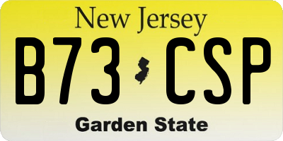 NJ license plate B73CSP