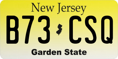 NJ license plate B73CSQ
