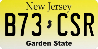 NJ license plate B73CSR
