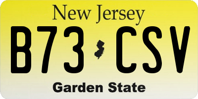 NJ license plate B73CSV