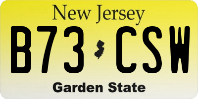NJ license plate B73CSW