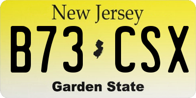 NJ license plate B73CSX