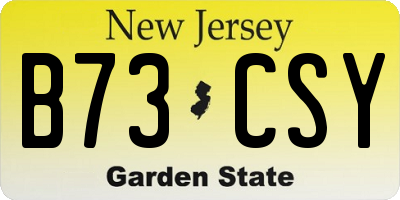 NJ license plate B73CSY