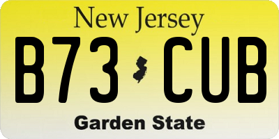 NJ license plate B73CUB