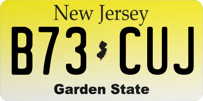 NJ license plate B73CUJ