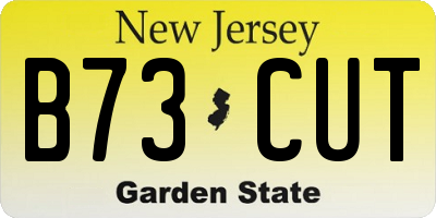 NJ license plate B73CUT