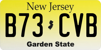 NJ license plate B73CVB