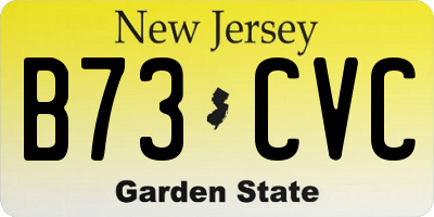 NJ license plate B73CVC
