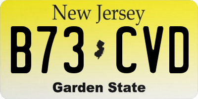 NJ license plate B73CVD