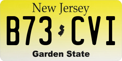 NJ license plate B73CVI