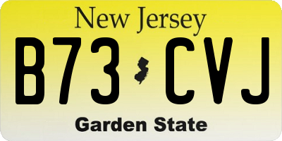 NJ license plate B73CVJ