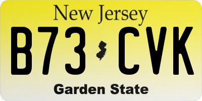 NJ license plate B73CVK