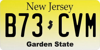 NJ license plate B73CVM
