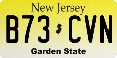 NJ license plate B73CVN