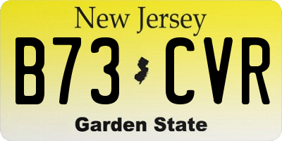 NJ license plate B73CVR