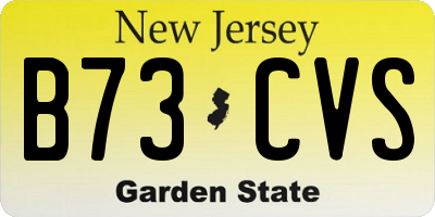 NJ license plate B73CVS