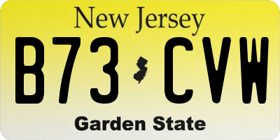 NJ license plate B73CVW