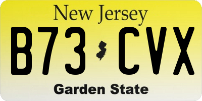 NJ license plate B73CVX