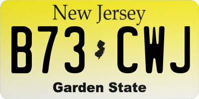 NJ license plate B73CWJ