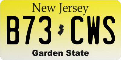 NJ license plate B73CWS