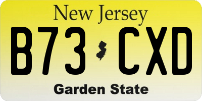 NJ license plate B73CXD