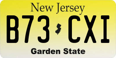 NJ license plate B73CXI