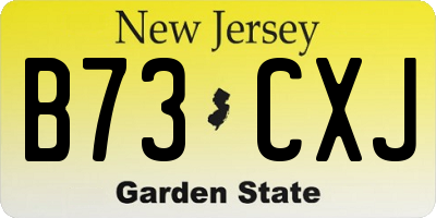 NJ license plate B73CXJ